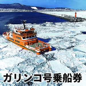 ガリンコ号3 IMERU 冬期運航 流氷クルーズ乗船券