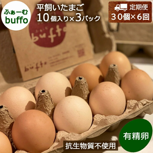 『定期便』全6回 卵 平飼い 30個 ふぁーむbuffo 毎月届く定期便_FA090_001s6