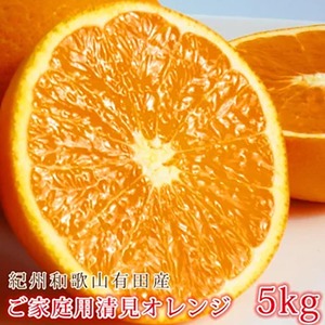 【ご家庭用訳アリ】紀州有田産清見オレンジ　5kg