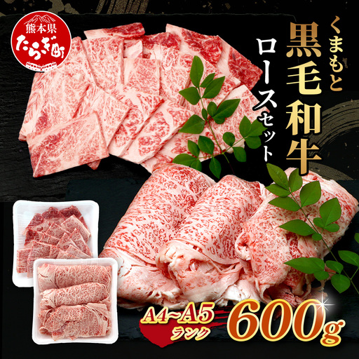 A4・A5 くまもと黒毛和牛 ロース セット 計600g ( すき焼き 300g / 焼肉 300g ) 本場 熊本県 ブランド 牛 黒毛 和牛 厳選 肉 上質
