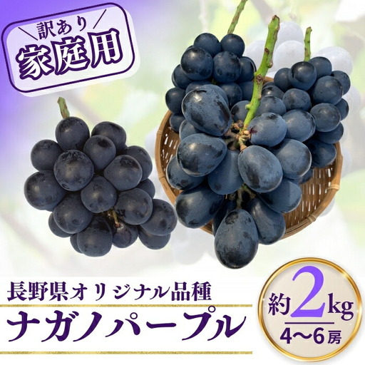 ナガノパープル 訳あり 家庭用 約2kg（4~6房）※最低1.8キロ以上  ナガノパープル