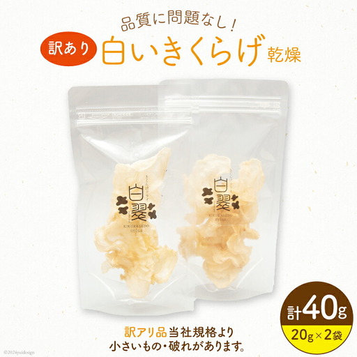 訳あり きくらげ 乾燥 白いきくらげ 20g 2袋 計 40g
