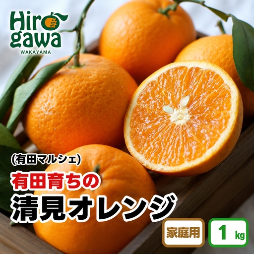 【産地直送】 有田 育ちの ご家庭用 完熟 清見 オレンジ 1kg+200g(補償分) / みかん 甘い オレンジ フルーツ 果物 有田 和歌山 ※2027年2月下旬～5月上旬に順次発送 ※北海道・沖縄・離島への配送不可【ard011-c-1C】