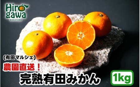 農園直送! 完熟 有田 みかん 1kg+200g(傷み補償分) [2026年12月発送予定] 秀・優混み SSサイズ〜Lサイズ混合 ※北海道・沖縄・離島への配送不可 / 和歌山 温州みかん ミカン オレンジ 甘い フルーツ 果物 産地直送[ard004-noen-1-12]