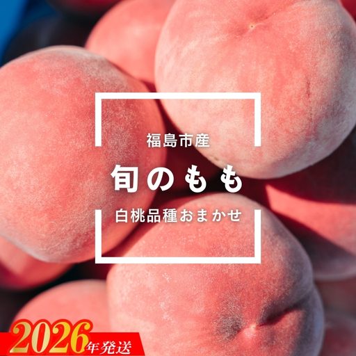 No.2997 福島県福島市産 旬のもも(白桃・品種おまかせ) 約1kg(3～6玉)【2026年発送】