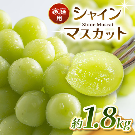 [ご家庭用]シャインマスカット 1.8kg ≪2026年10月上旬〜順次発送≫ 塩尻市産