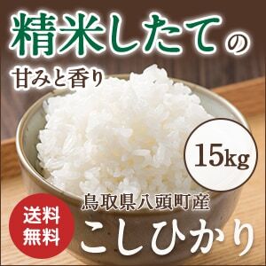 Y309 《新米予約受付開始！》 令和8年産 特別栽培米コシヒカリ15kg