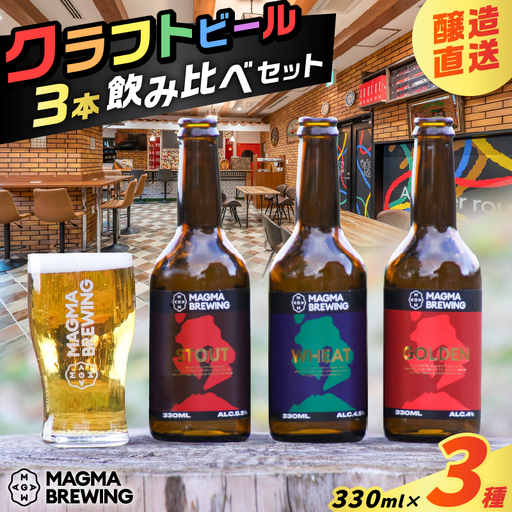 クラフト ビール 3本 飲み比べ セット K267-001 酒
