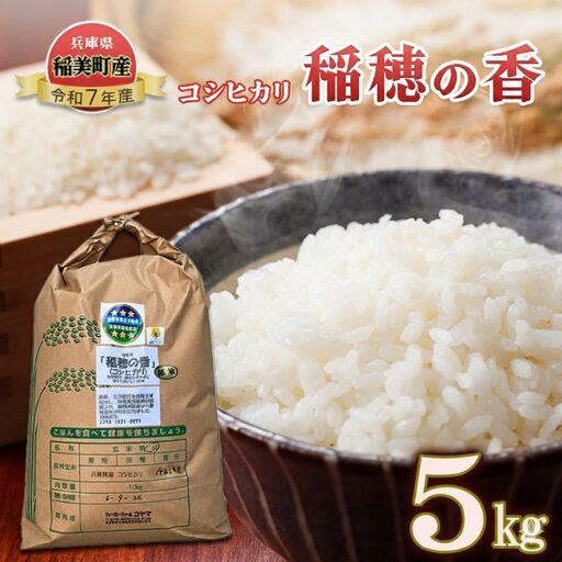 コシヒカリ 稲穂の香 精米 白米 兵庫県産 コシヒカリ【5kg】【令和7年産】