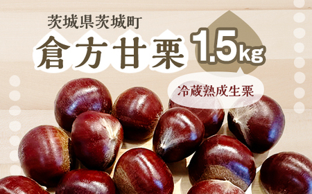538 倉方甘栗 1.5kg 栗 甘栗 希少品種 数量限定 くり 茨城県産