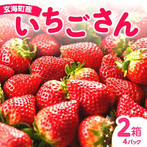 佐賀県玄海町産いちご「いちごさんDX」【D025】