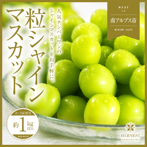 ＜2026年発送分先行予約＞山梨県南アルプス市産シャインマスカット　粒　1ｋｇ ALPAH044