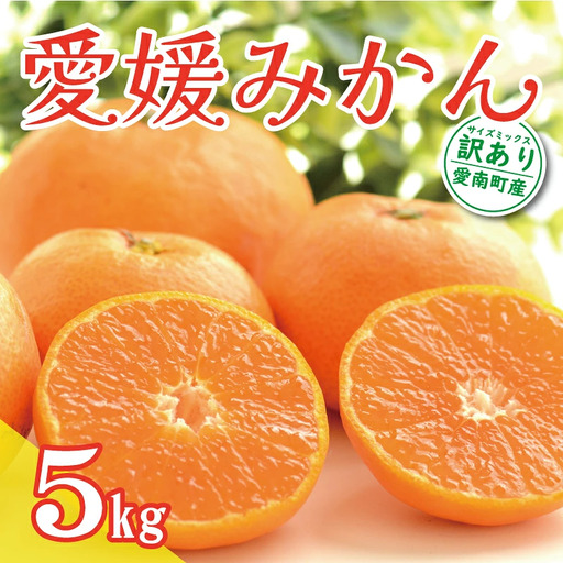 訳あり 愛媛 みかん 5kg