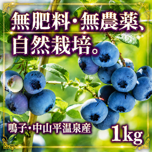 ブルーベリー 1kg [ku001-1kg] フルーツ ベリー