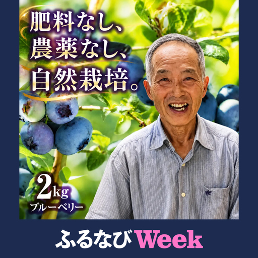 【ふるなびWEEK対象】ブルーベリー 2kg [ku001-2kg] フルーツ ベリー
