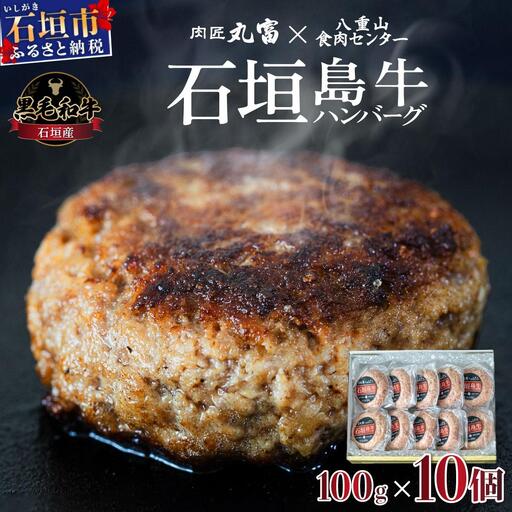 石垣島 島牛ハンバーグ 100g×10個   YC-7