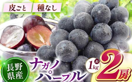 【2026年先行予約】 ナガノパープル（2房）【9月上旬～10月下旬にかけて順次発送予定】 
