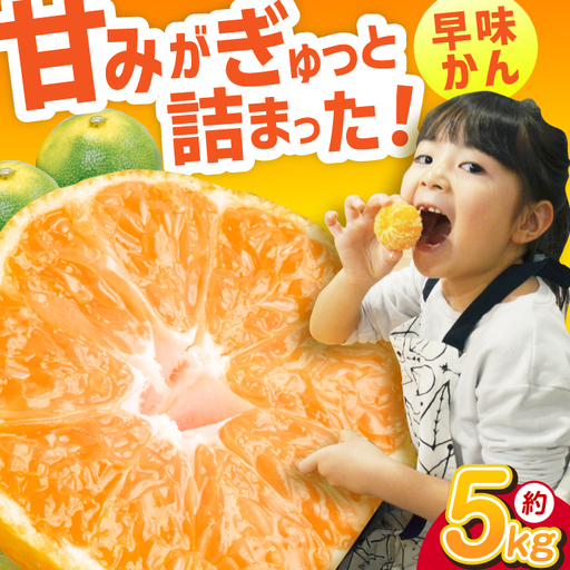 早味かん 約5kg【先行予約 2026年9月下旬より発送】[AFAB075] みかん