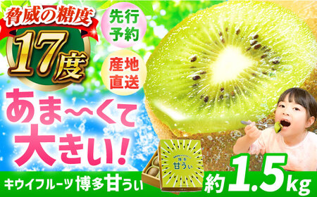 【先行予約 2026年11月上旬発送】博多甘うぃ 約1.5kg（9玉）[AFAB078] キウイ