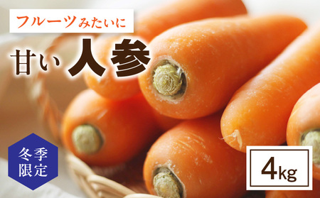[2027年1月〜発送][冬季限定]フルーツみたいに甘い人参4kg・S069-080