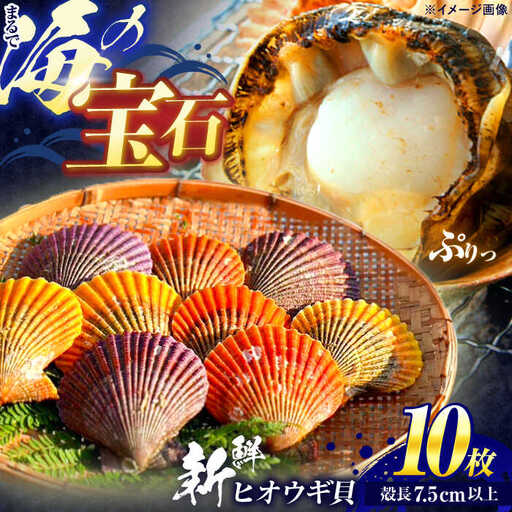 【ホタテ以上の旨味！】ヒオウギ貝 10枚(殻長7.5cm以上) / 貝 かい 魚介 ぎょかい 海鮮 かいせん 海産物 / 諫早市 / 橘湾中央漁業協同組合 [AHDP001]