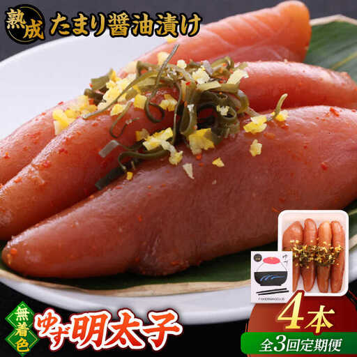 【全3回定期便】熟成 たまり醤油漬け 無着色 ゆず明太子 4本入り(280g)桂川町/有限会社フィッシャーマンズクラブ 明太子 めんたい [ADBO048] 明太子 柚子明太子 ゆずめんたいこ 柚子めんたい 定期便