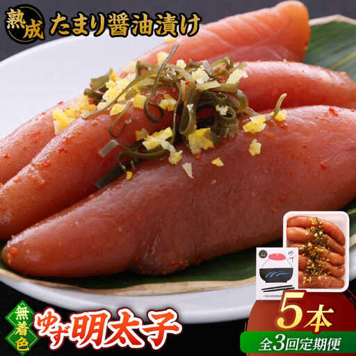 【全3回定期便】熟成 たまり醤油漬け 無着色 ゆず明太子 5本入り(350g)桂川町/有限会社フィッシャーマンズクラブ 明太子 めんたい [ADBO051] 明太子 柚子明太子 ゆずめんたいこ 柚子めんたい 定期便