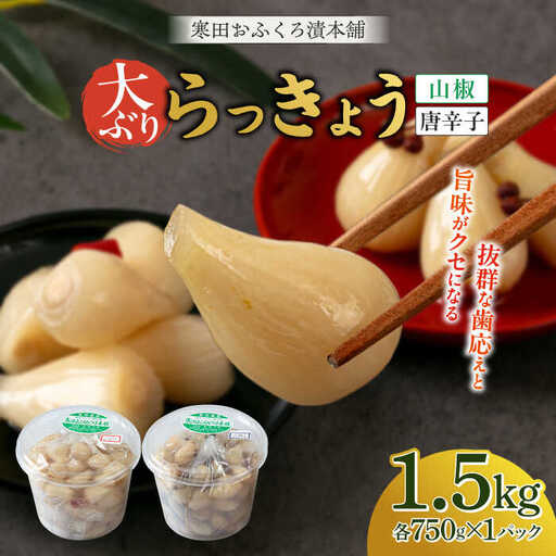 らっきょう 1.5kg（唐辛子750g・山椒750g）らっきょ ラッキョウ 辣韭 [ABDO005]