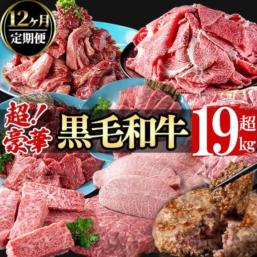 【定期便全12回】超豪華！黒毛和牛堪能贅沢定期便！(総重量19kg超) 鹿児島県産 黒毛和牛 和牛 肉 牛肉 国産 九州産 鹿児島県産 焼肉 BBQ 日本一 ランキング 人気 A4 A5 ステーキ 切り落とし ハンバーグ カルビ ミスジ 訳あり t0365-001