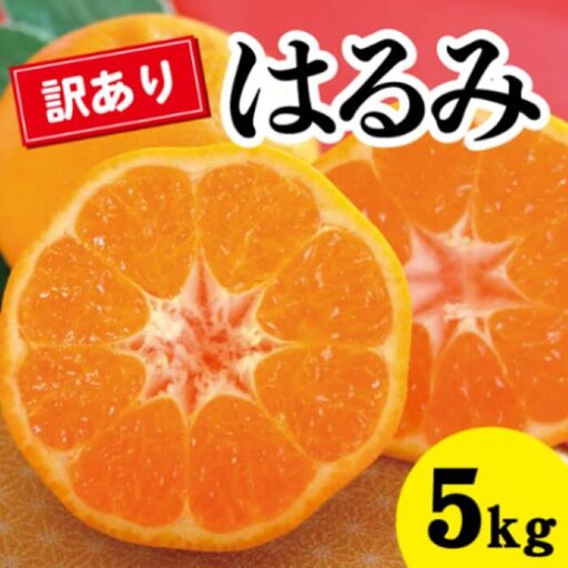 みかん 柑橘 【先行受付】【2027年2月以降発送】甘くてジューシー！瀬戸内さぎしまの訳ありはるみ ＜約5kg＞ 広島 三原 佐木島 鷺島みかんじま みかん 家庭用 017051