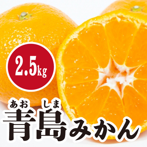 みかん【先行受付】【2027年1月末以降発送】 濃厚な甘さが特徴！青島みかん ＜約2.5kg＞ 広島 三原 佐木島 鷺島みかんじま 017053