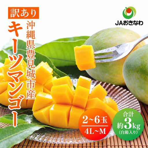 【先行受付】【2027年発送】豊見城産キーツマンゴー約3kg（白箱）訳ありご家庭用 AE018