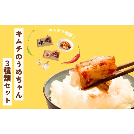キムチ 3種類セット 【キムチのうめちゃん】 手作り 6-010