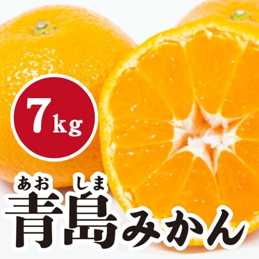  みかん【先行受付】【2027年1月末以降発送】 濃厚な甘さが特徴！青島みかん ＜約7kg＞ 広島 三原 佐木島 鷺島みかんじま 017055