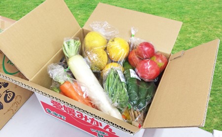 取りたて新鮮！旬の野菜詰め合わせセット