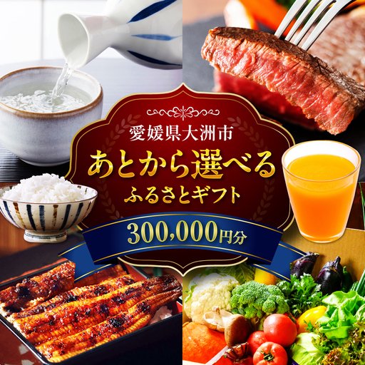 ギフト【あとから選べる】ふるさとギフト 30万円分 ギフト[AGXX023]
