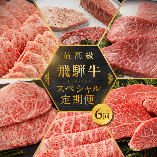 【定期便 6回】飛騨牛食べ尽くし定期便 6カ月（飛騨牛すき焼き 焼肉 ステーキ ）【冷凍】【22-B】