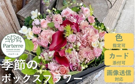 季節のボックスフラワー 岩手県 北上市 D0224 パルテール 花 観賞用 アレンジ プレゼント ギフト 誕生日 お祝い クリスマス 卒業 入学 バレンタインデー ホワイトデー 贈答 母の日 父の日 敬老の日 感謝 退院 快気祝い プロポーズ ご褒美 生花 季節の花 赤 白 黄色 ピンク オレンジ 青 紫 寄せ植え 鉢植え ガーデニング 庭 玄関 リビング 部屋 客間 オフィス 開店祝い 周年 退職 就職祝い 還暦 成人 記念日 