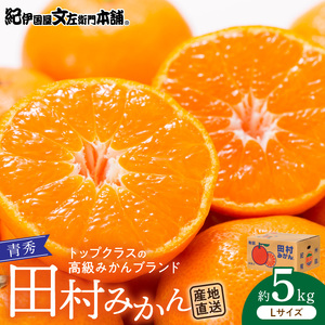 【2026年先行予約】田村みかん／5kg青秀【Lサイズ】_V7447
