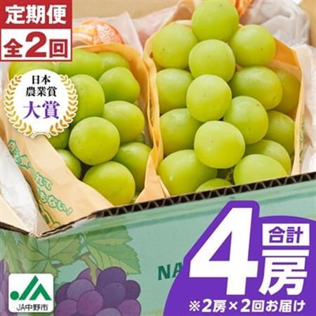 【発送月固定定期便】〈2026年発送〉シャインマスカット2房1kg以上　JA中野市から直送全2回【配送不可地域：離島】【4059319】