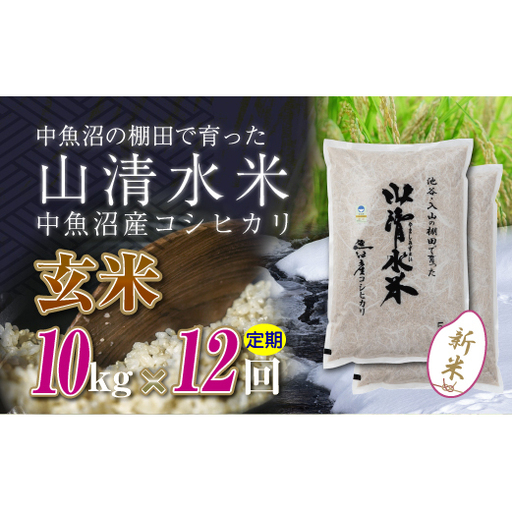 【令和8年産 新米】 【定期便／全12回】玄米10kg　新潟県魚沼産コシヒカリ「山清水米」十日町市 米