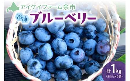 [2026年11月以降発送]冷凍ブルーベリー 500g×2袋(チャック付き袋) 北海道産ブルーベリー 余市産ブルーベリー ブルーベリー 1kg フルーツ 冷凍フルーツ 果物_