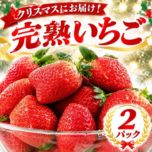 [ クリスマスに届く!] いちご 2パック 完熟 先行予約 大粒 イチゴ