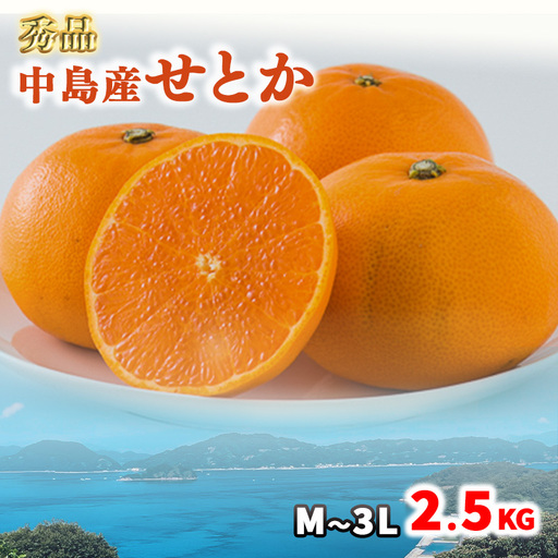 [秀品] 松山市中島産 せとかM〜3Lサイズ 2.5kg[FA0941]