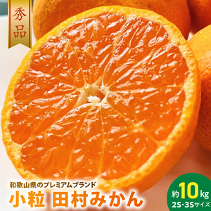 【2026年先行予約】小粒田村みかん 2S・3Sサイズ 秀品 約10kg _ 和歌山プレミアムブランドみかん 小玉 小さい 蜜柑 ミカン フルーツ 果物 ギフト お歳暮_AB7310