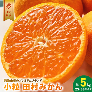 [2026年先行予約]小粒田村みかん 2S・3Sサイズ 秀品 約5kg _ 和歌山プレミアムブランドみかん 小玉 小さい 蜜柑 ミカン フルーツ 果物 ギフト お歳暮