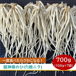 先行予約[2026年12月発送] 根ニラ[龍神様のひげ] 700g[100g×7袋]/ すわファーム 根ニラ 野菜 [91-01]