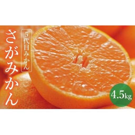 [期間限定]さがみかん (5代目みかん) 4.5kg[温州みかん 甘い 濃厚 ジューシー コク 完熟 熟成みかん 蔵出し 蔵入り 柑橘 密柑 ギフト 果物 フルーツ 佐賀県産 佐賀県 大和 太良 石橋果樹園 人気]