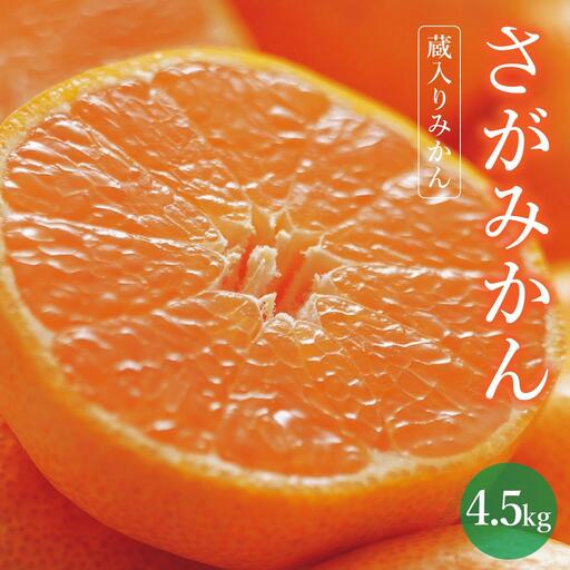 [期間限定]さがみかん (蔵入りみかん4.5kg)[温州みかん 甘い 濃厚 ジューシー コク 完熟 熟成みかん 蔵出し 蔵入り 柑橘 密柑 ギフト 果物 フルーツ 佐賀県産 佐賀県 大和 太良 石橋果樹園 人気]