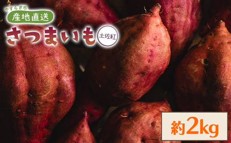 [8月発送開始]さつまいも(土佐紅) 2kg [さつまいも 野菜 さつまいも やさい さつまいも 芋 さつまいも 旬 さつまいも 国産 さつまいも おすすめ さつまいも] yr-0143
